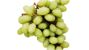 Uva Bianca senza Semi